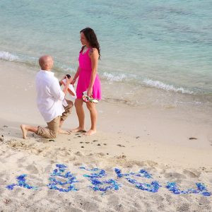 Summer proposal ideas